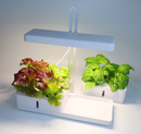 MG-1 Shape-002 Grow Light