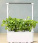 Plant Basin