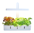 MG-1 Shape-002 Grow Light