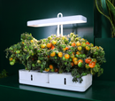 MG-1 Shape-002 Grow Light