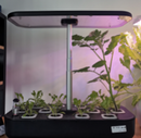 IGS Smart Hydroponic Garden Kit With LED lighting