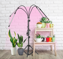 Tripod Plant Lighting