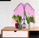 Tripod Plant Lighting